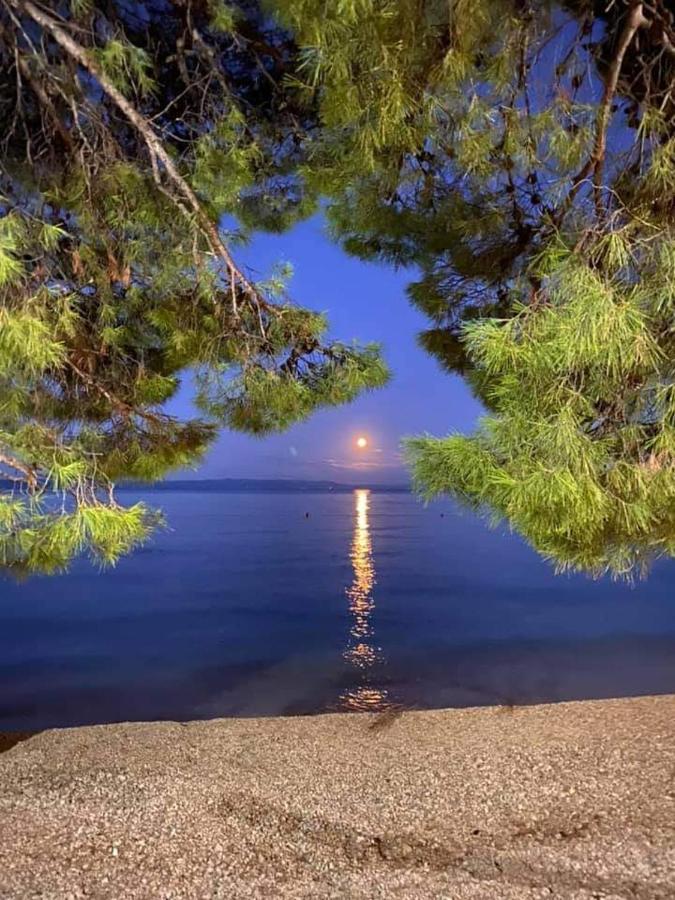 Apartman Magdalena Galileo Makarska Bagian luar foto
